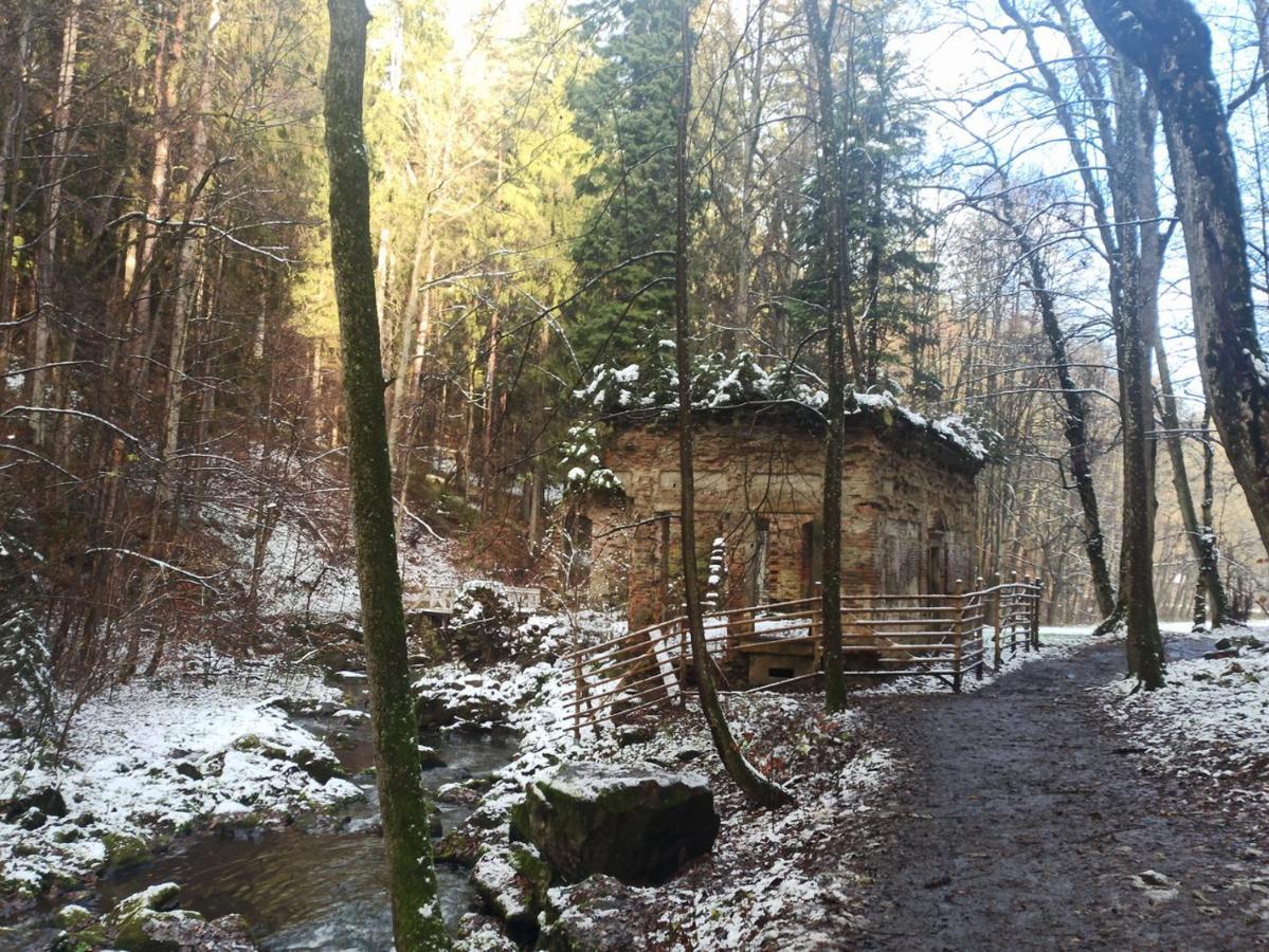 Ubytování Nové Hrady 111 - apartmány Žiaková Exterior foto