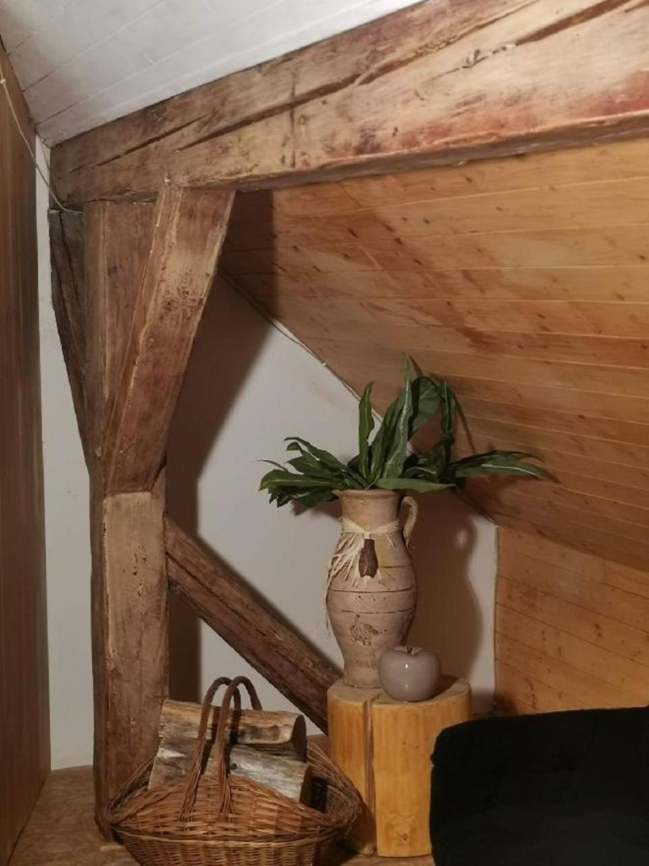 Ubytování Nové Hrady 111 - apartmány Žiaková Exterior foto